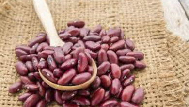 Photo of Фасоль «Кидни» с копченостями