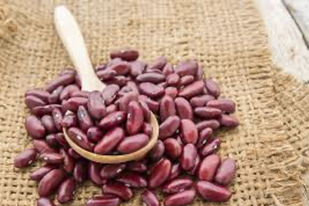 Фото 20 — Фасоль «Кидни» с копченостями