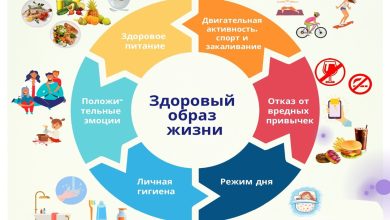 Photo of Питание и образ жизни: взаимосвязь