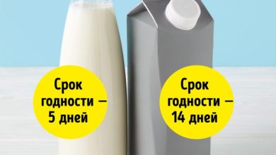 Photo of Важность правильного хранения молочных продуктов