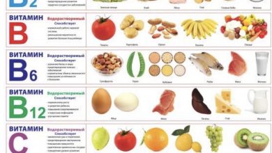 Photo of Кулинария как ключ к здоровому образу жизни